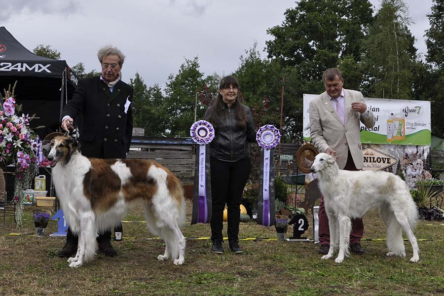 Belgian Borzoi Special 2022