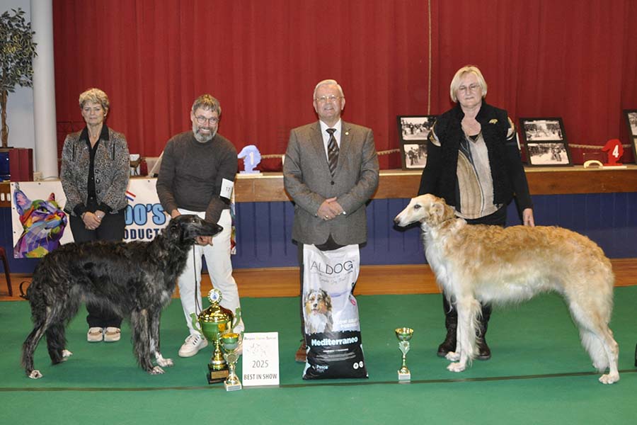 Belgian Borzoi Special 2025